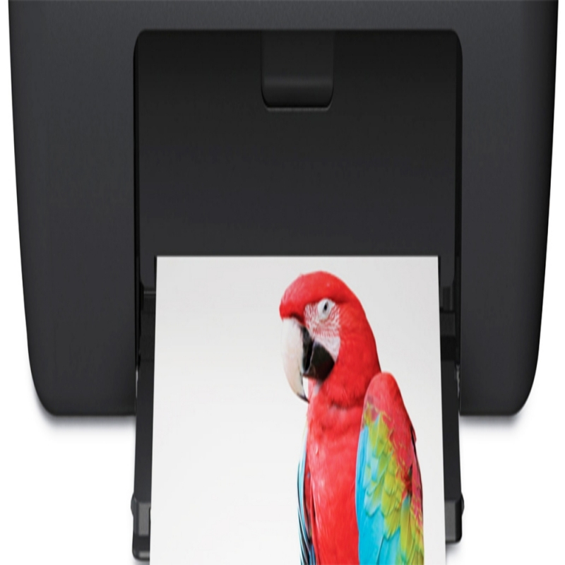 Onde Encontrar Empresas de Aluguel de Impressoras Coloridas Embu das Artes - Empresas de Aluguel de Impressoras Coloridas